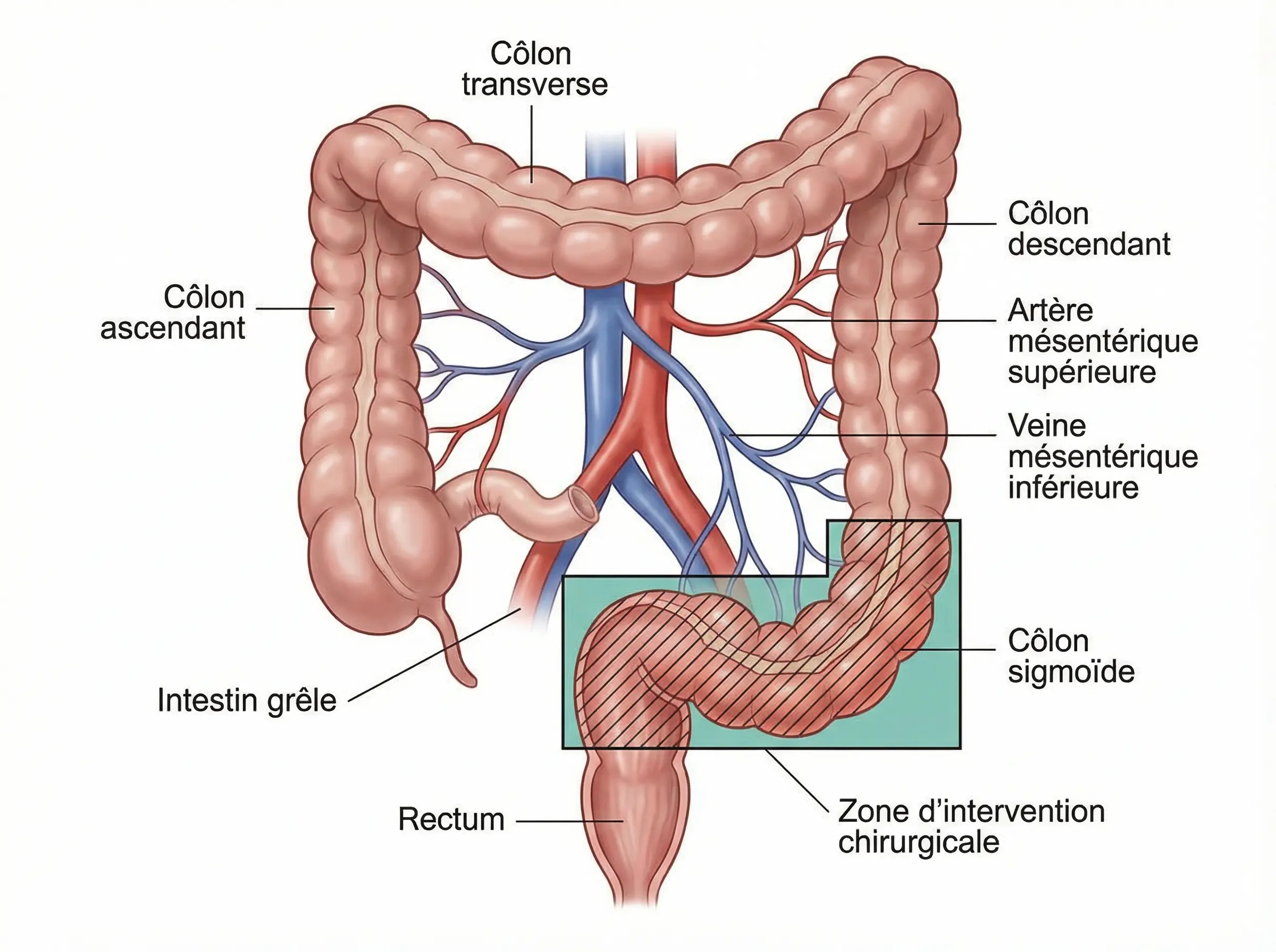 A propos de Dr Tadlaoui